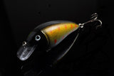 5x-8-5cm-popper-crank-bait-fishing-lure-lures-surface-tackle-saltwater